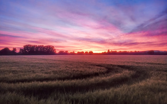 As the sun behind the horizon descends - бесплатный image #446715